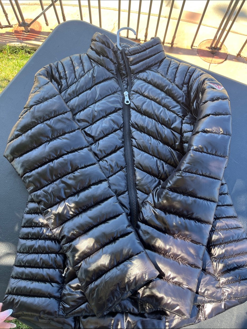 guess shiny puffer
